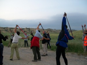 Image4