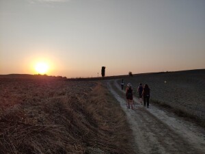 IMG-20200916-WA0005