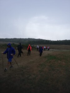 IMG-20200920-WA0013